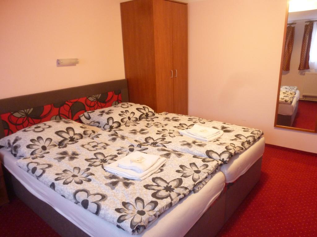 Apartment Karlovy Vary Szoba fotó